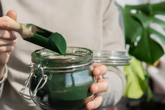 Spiruline